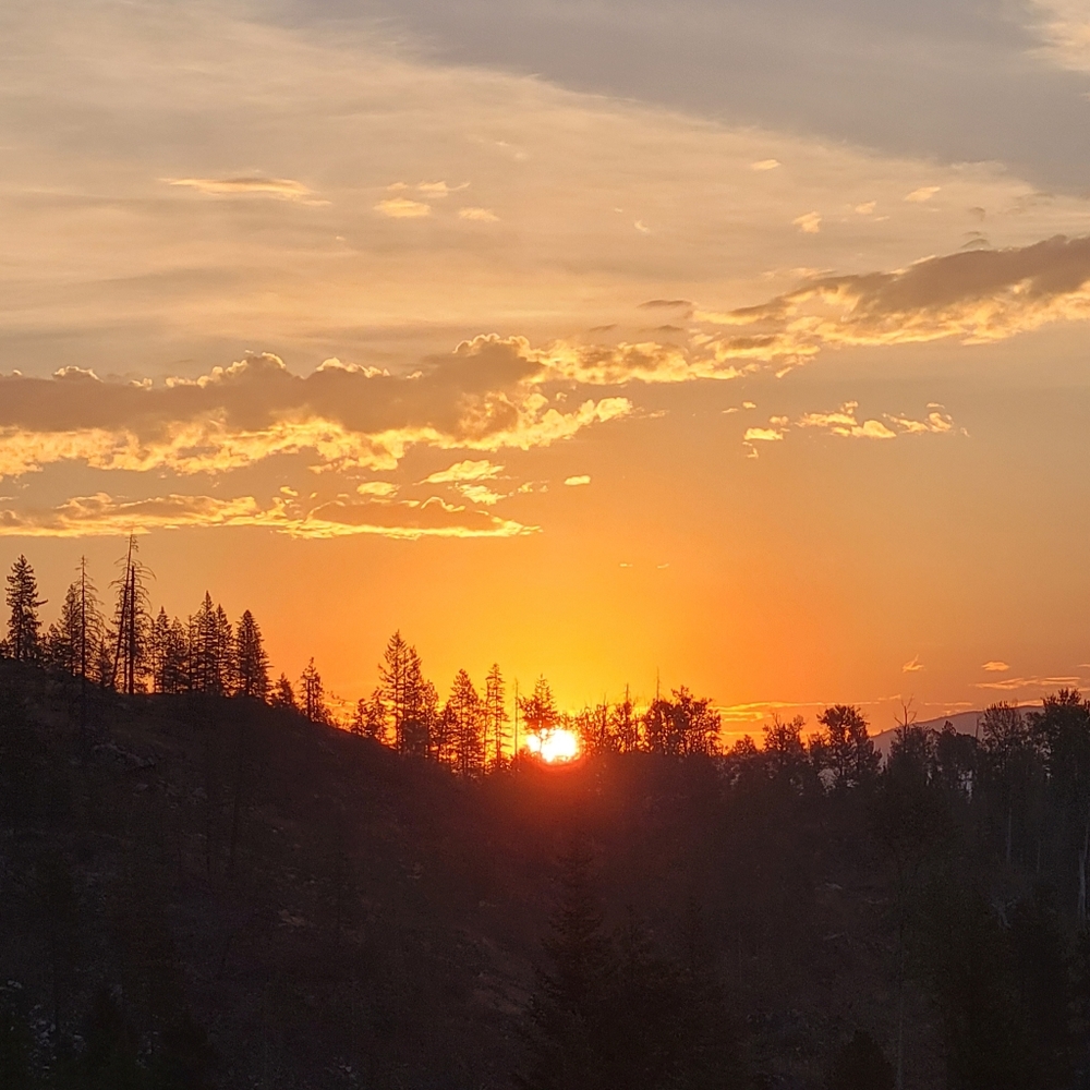 Meet your Posher, Posh